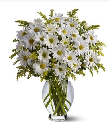 White Daisy Bouquet